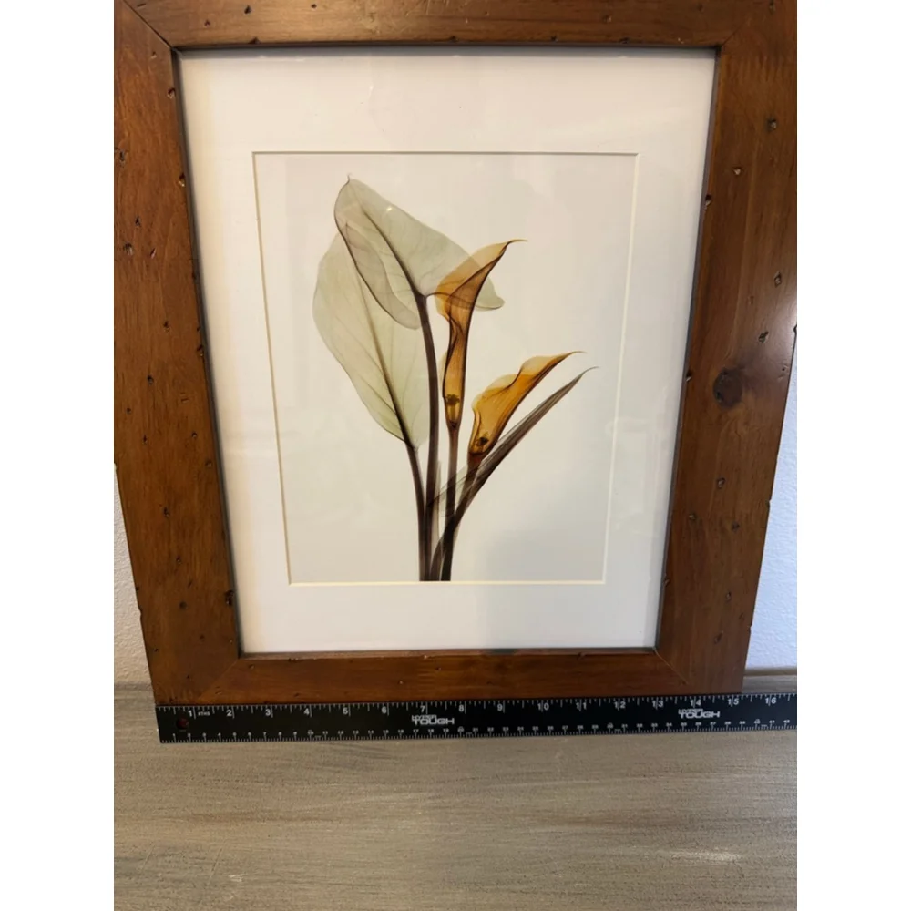 Framed Calla Lily art print approx. 15x18”